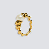 ARIEL RING