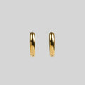 LARISA HOOP EARRINGS
