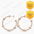 Nuts And Bolts Pink Gold Earrings